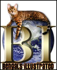Bengals Illustrated-The Most Popular Bengal Cat Resource in the World!